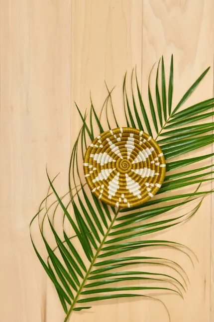 Olive Blossom Mini Basket – Handwoven Sweetgrass & Sisal Bowl | Fair Trade African Boho Home Décor