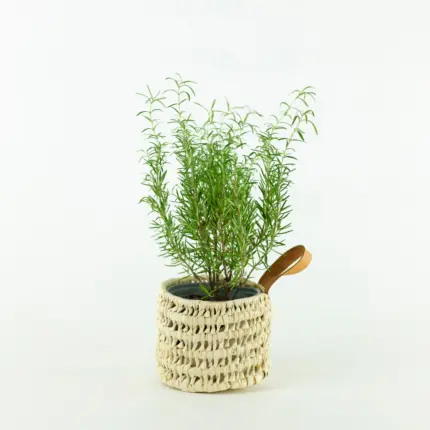 🌿 Basket with Leather – Handwoven Palm Leaf Storage