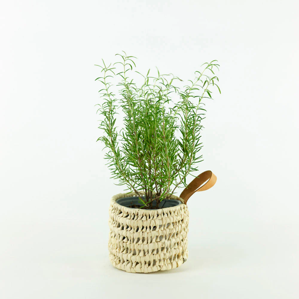 🌿 Basket with Leather – Handwoven Palm Leaf Storage (1) 🌿 Basket with Leather – Handwoven Palm Leaf Storage - Image 1