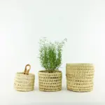🌿 Cup XS – Handwoven Palm Leaf Basket - Image 3