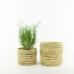 🌿 Cup XS – Handwoven Palm Leaf Basket - Image 4